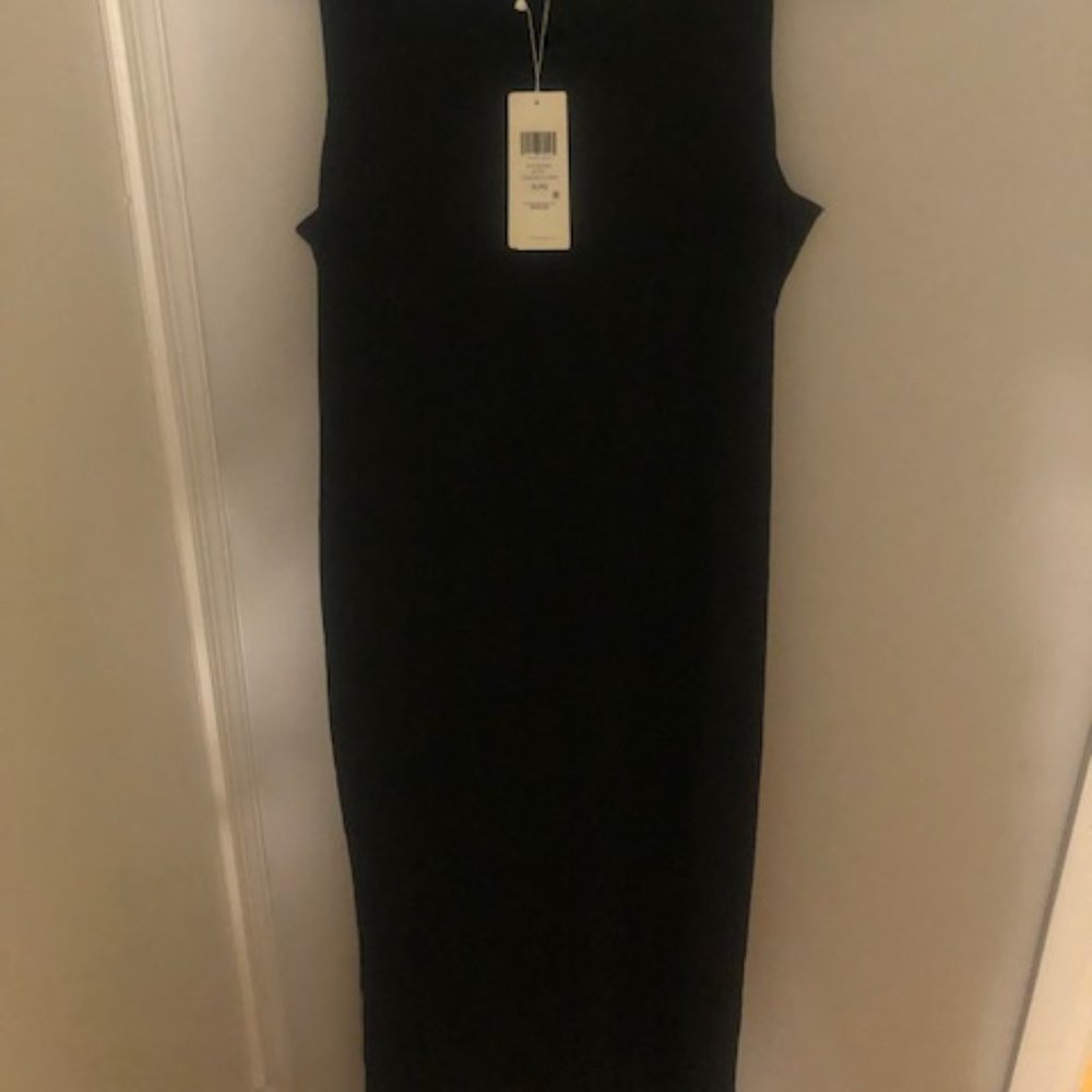 NWT Eileen Fisher Dress - Large Petite